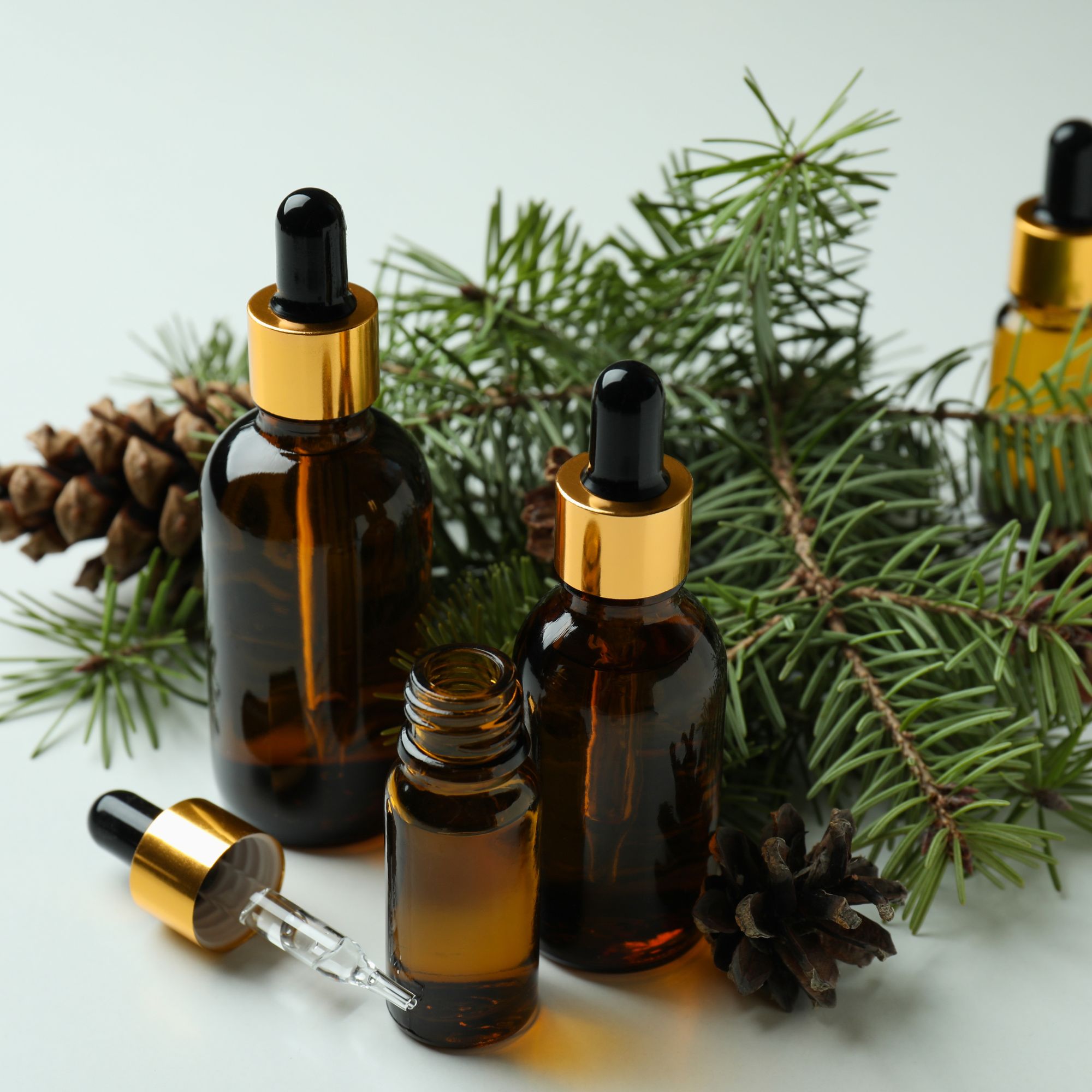 BIO Borovice – esenciální olej s osvěžujícím lesním aroma